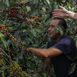 Guatemala Alejandro Reynoso