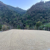 Holiday Release - Guatemala Jose Fernando